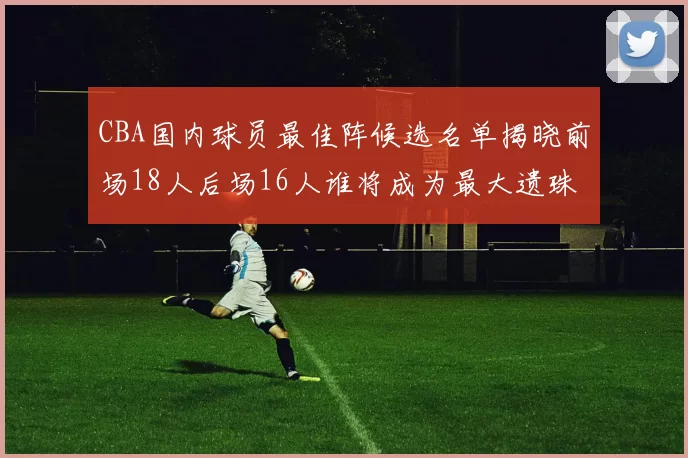 CBA国内球员最佳阵候选名单揭晓前场18人后场16人谁将成为最大遗珠