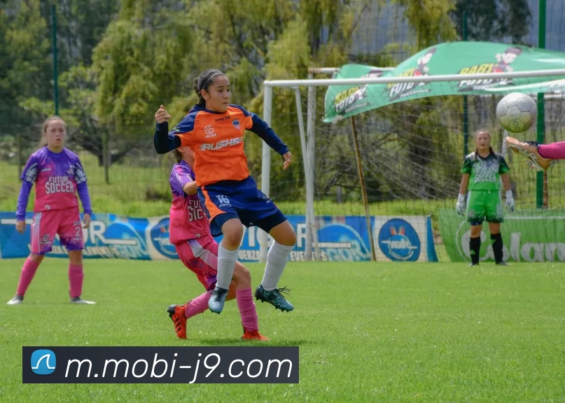 九游会发展历程